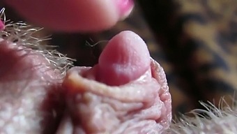 Intense Close-Up Of My Throbbing Clit Tip In Amateur Hardcore Video