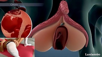 Exploring The Biology Of Female Orgasm